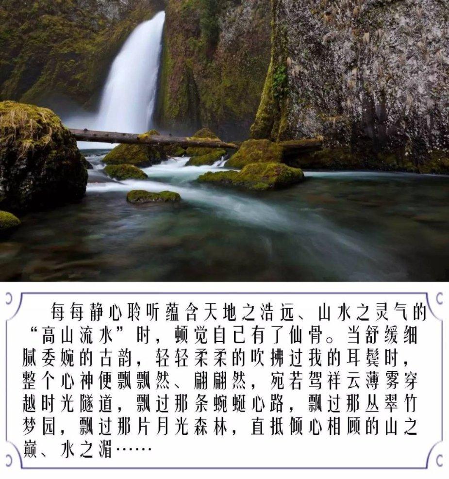 引球进框